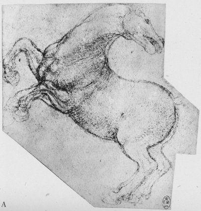 Study of a Rearing Horse by Leonardo da Vinci
