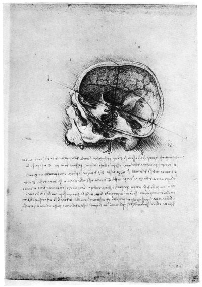 Study of a human skull, late 15th or early 16th century by Leonardo da Vinci