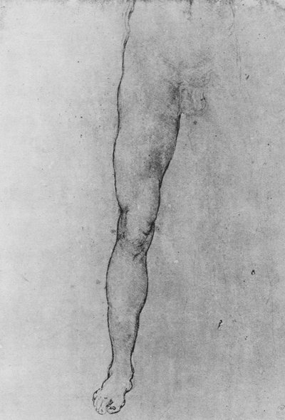 Study of the Lower Half of a Nude Man Facing to the Front, c1480 1945 by Leonardo da Vinci