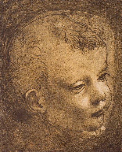 Study of the face of the infant St. John for the Madonna of the Rocks by Leonardo da Vinci