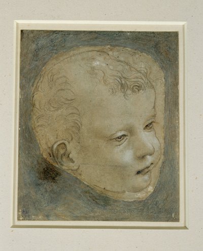 Head of a Child in Three-Quarter View to the Right by Leonardo da Vinci