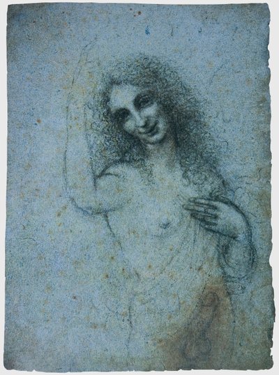 The Angel in the Flesh by Leonardo da Vinci