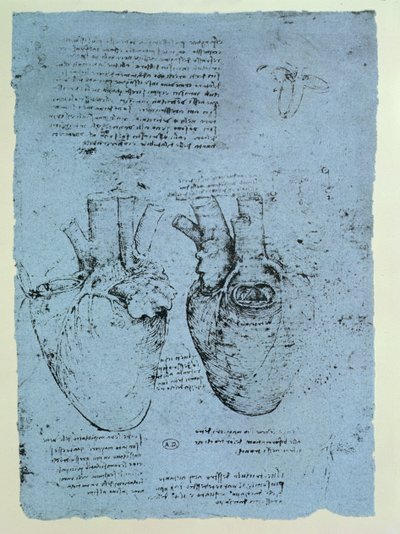The Heart, Facsimile of the Windsor Book by Leonardo da Vinci