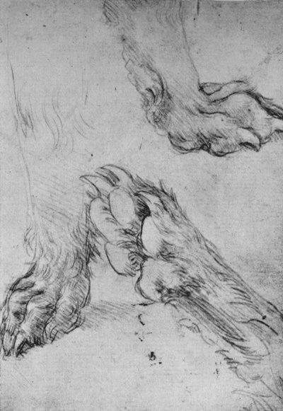 Three Studies of the Paws of a Dog or Wolf by Leonardo da Vinci