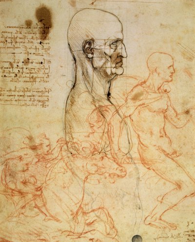 Torso of a Man in Profile, the Head Squared for Proportion, and Sketches of Two Horsemen, c.1490 and c.1504 by Leonardo da Vinci