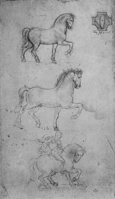 Two Studies of a Horse and one of a Horse and Rider, c1480 1945 by Leonardo da Vinci