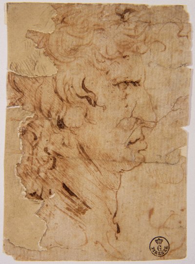 Unknown Image by Leonardo da Vinci
