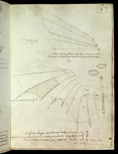 Wing by Leonardo da Vinci