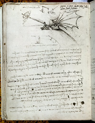 Wing Training by Leonardo da Vinci
