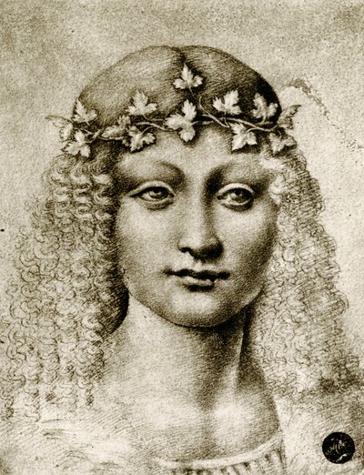 Head of a Girl Wreathed with Vine by Leonardo da school of Vinci