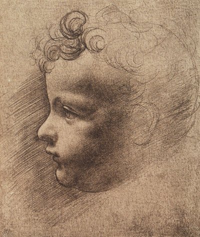 Head of a small boy by Leonardo da school of Vinci