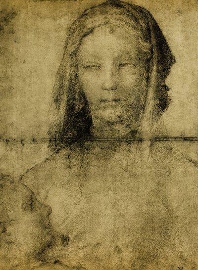 Study for the Virgin; Drawing from the School of Leonardo by Leonardo da school of Vinci