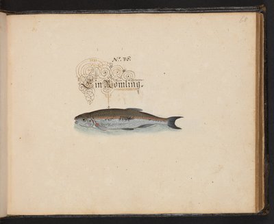 An Exact Natural Description and Delineation of the Water-Fowls, Fishes, Fourfooted Beasts, Insect, and Worms, which are found in the waters at Strasbourg by Leonhard Baldner