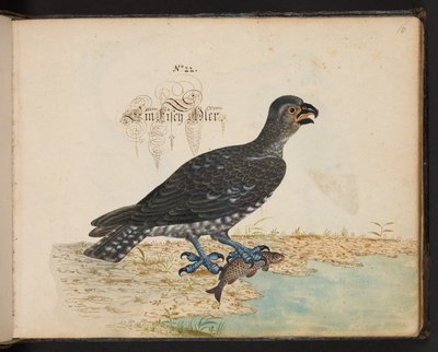 An Exact Natural Description and Delineation of the Water-Fowls, Fishes, Fourfooted Beasts, Insect, and Worms, which are Found in the Waters at Strasbourg, which I Myself Shot and Handled. Leonard Baldner, Fisher and Citizen in Strasbourg by Leonhard Baldner