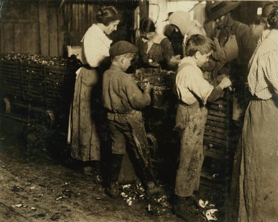 10 Year Old Jimmie Who Has Been Shucking 3 Years with an 11 Year Old Boy Who Shucks 7 Pots at Varn und Platt Canning Co., Bluffton, South Carolina, 1913 by Lewis Wickes Hine