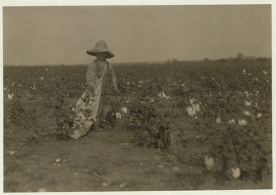 5 year old Willie Hesse picks 15 pounds of cotton a day on his parents