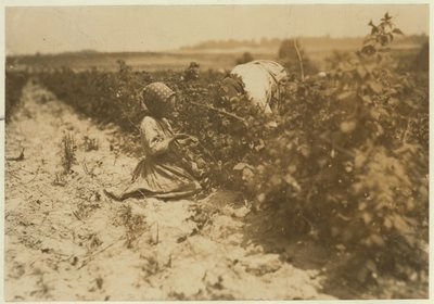 A six year old Polish girl picking berries all day with her family (Scholtz) at Rock Creek near Baltimore, Maryland, 1909 by Lewis Wickes Hine