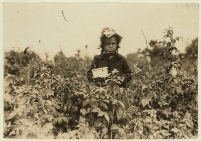 Annie Bissie Picking Berries in the Fields Near Baltimore, Maryland, 1909 by Lewis Wickes Hine
