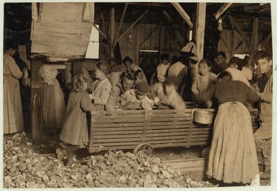 Bill May, Aged 5 who Makes 15 Cents a Day, in the Shucking Shed at Barataria Canning Company, Biloxi, Mississippi by Lewis Wickes Hine
