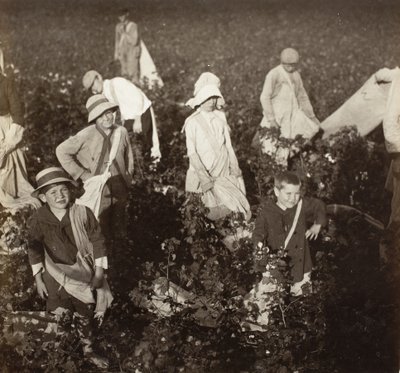 Near Waxahachie, Texas by Lewis Wickes Hine