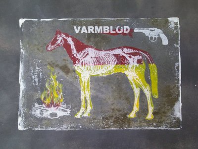 Warmblood Horse Anatomy by Li Gessbo