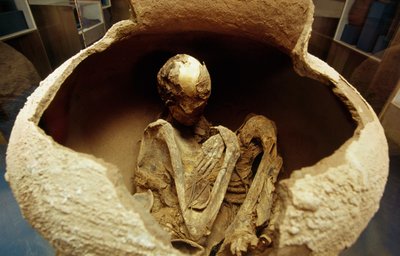 Mummy in a ceramic urn, Atacama civilization, Paleolithic by Unbekannt Unbekannt