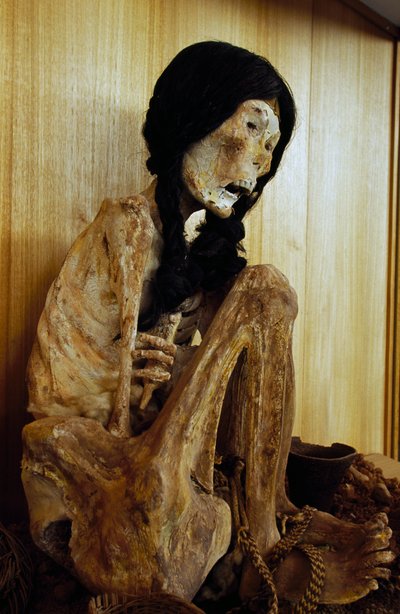 Mummy Known as Miss Chile by Unbekannt Unbekannt