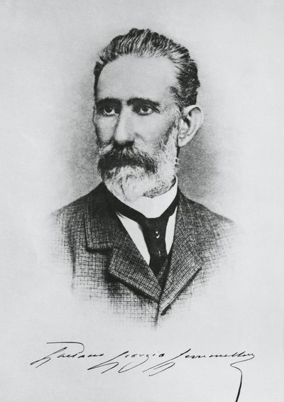 Portrait of Gaetano Giorgio Gemmellaro (1832-1904), Italian geologist, paleontologist, and politician by Unbekannt Unbekannt