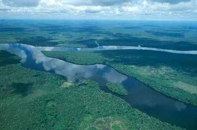 Venezuela, Guayana, Amazonas State, Orinoco River, aerial view by Unbekannt Unbekannt