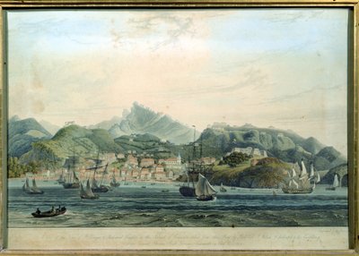 A View of the Town of St. George and Richmond Heights on the island of Grenada, engraved by William Daniell by Lieutenant Colonel J. Wilson