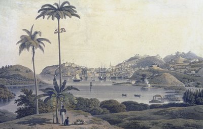 A View of the Town of St. George on the Island of Grenada, taken from the Belmont Estate, engraved by William Daniell, c.1810 by Lieutenant Colonel J. Wilson