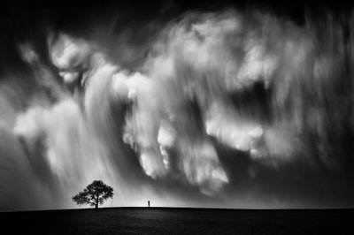 Dramatic Sky Lone Tree by Like He