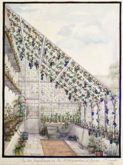 The Two Grape Houses in the Kitchen Garden, Aynhoe by Lili Cartwright