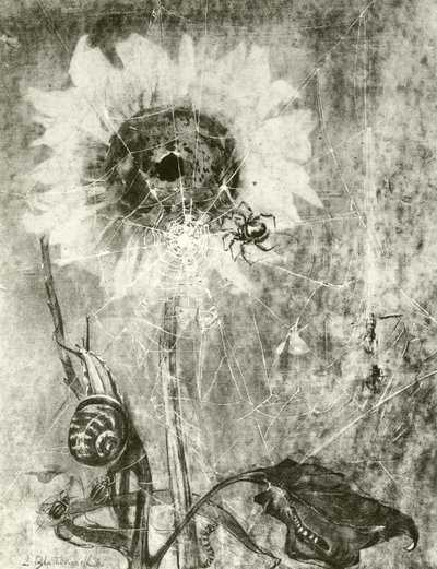 The Fairies by Lily Blatherwick