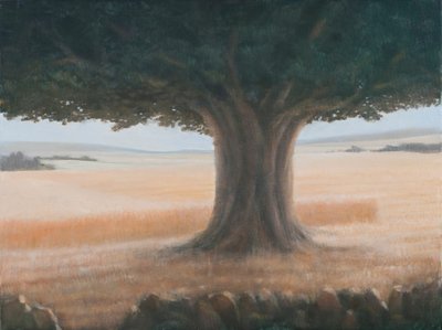 Tree, Holwell by Lincoln Seligman
