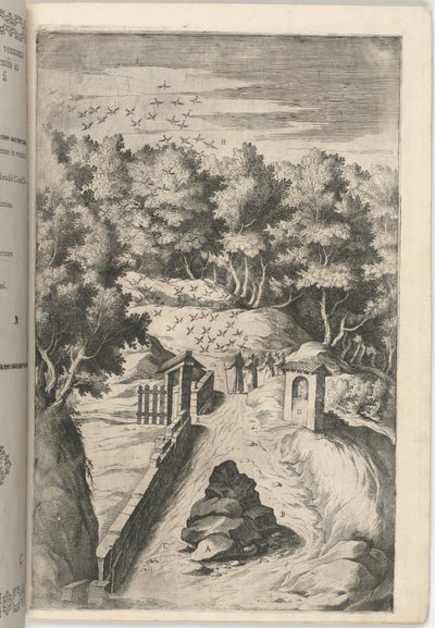 The Salutation of the Birds (plate C) by Lino Moroni