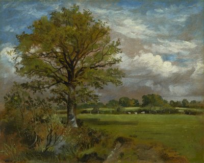 Tree in a Meadow by Lionel Constable