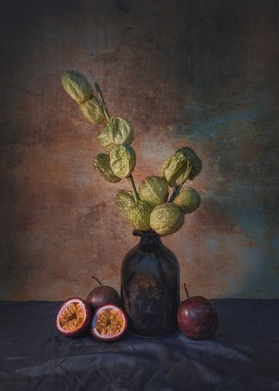 Dark Passion Fruit Still Life by Liu Xing