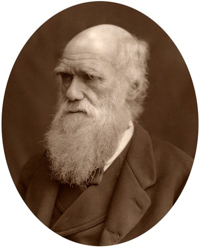 Charles Darwin by Lock and Whitfield