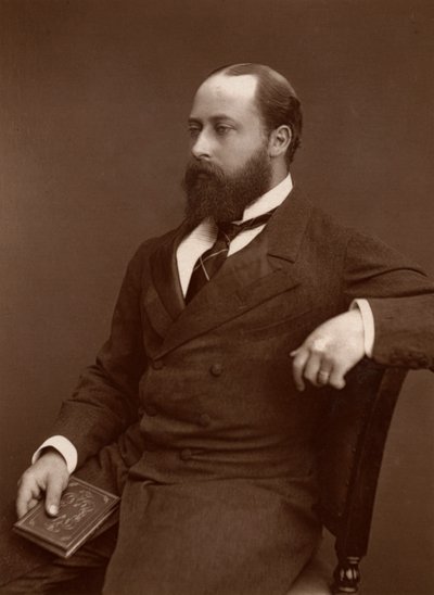 HRH the Prince of Wales, 1876 by Lock and Whitfield