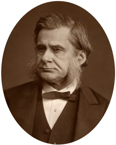 Professor Thomas Henry Huxley, 1880 by Lock and Whitfield