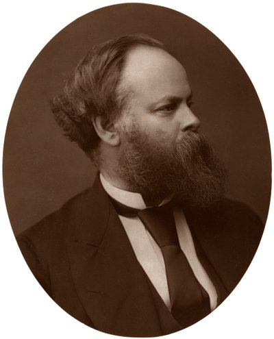 Samuel Plimsoll, Esq, MP, British Liberal Politician and Social Reformer, 1876 by Lock and Whitfield