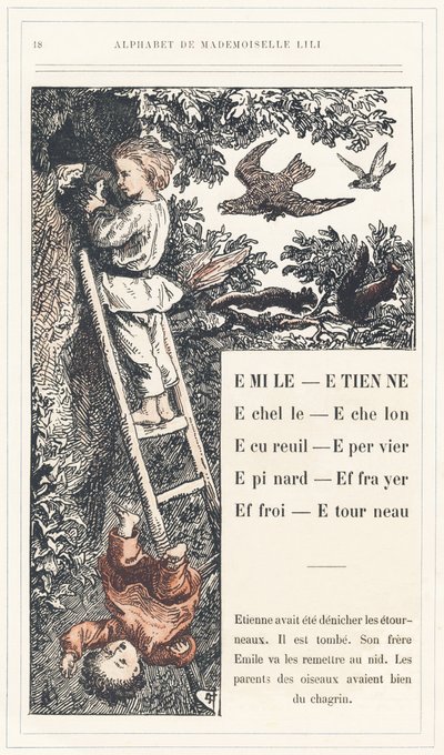 Emile, Etienne, Echelle, Echelon, Squirrel, Sparrow, Epinard, Scarer, Farry, Stourneau, Page 18 - Alphabet by Mademoiselle Lili, by L. Froelich and by a Dad (Hetzel Himself). Bibliotheque & Magasin d