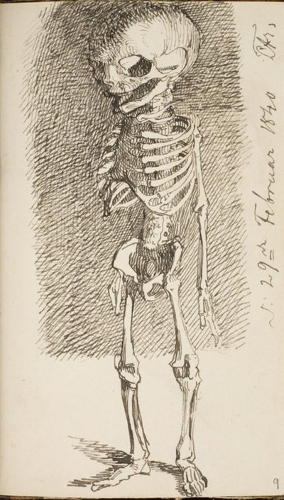 Sketch of a Standing Skeleton by Lorenz Frølich