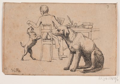 Image 7 by Lorenz Frølich