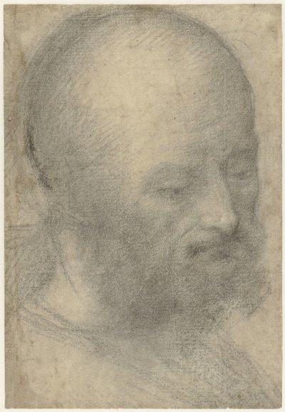 Head of an Old Man with Beard by Lorenzo Costa