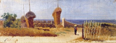 Castiglioncello by Lorenzo Gelati