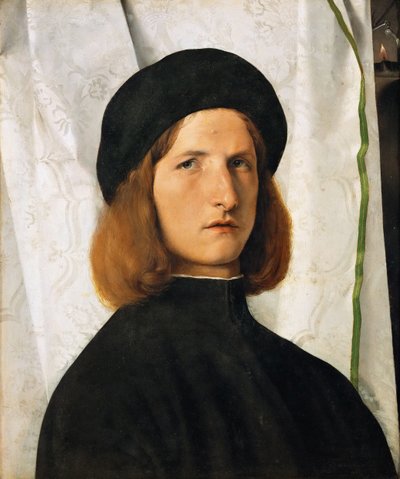 Portrait of a Young Man against a White Curtain by Lorenzo Lotto