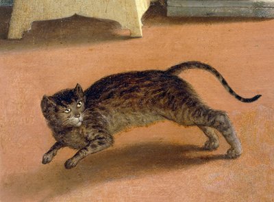 Terrified cat (detail) by Lorenzo Lotto