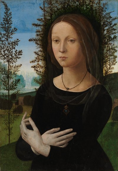 Portrait of a Young Woman by Lorenzo di Credi